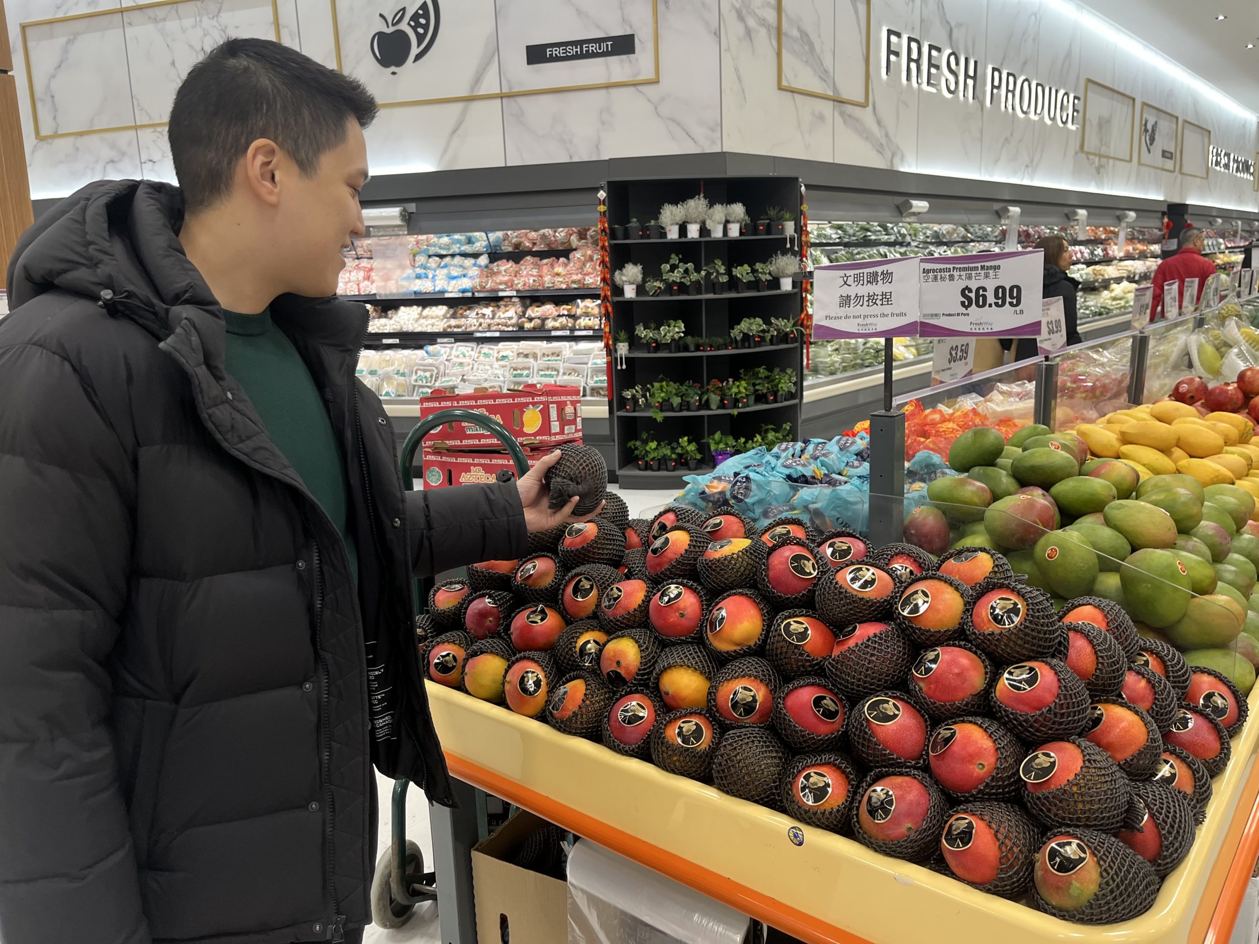 A man inspects a mango at Fresh Way Foodmart in Markham